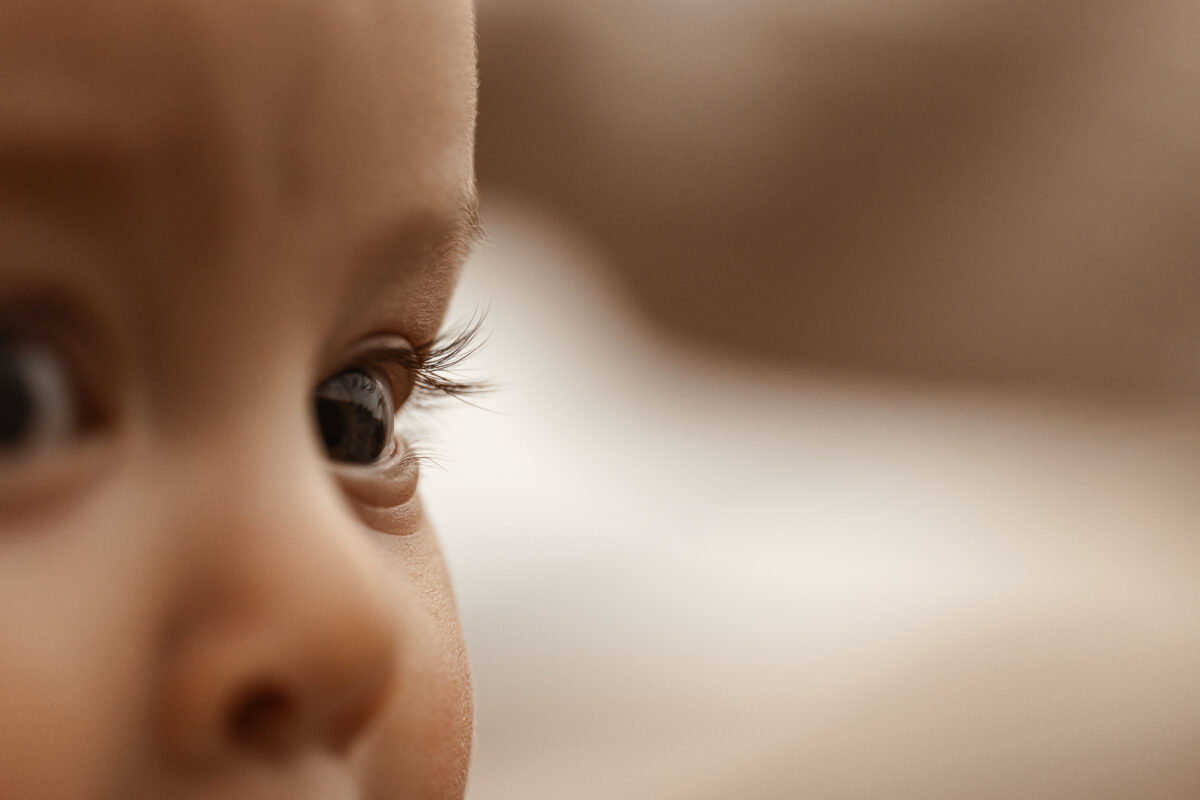 oeil de bébé